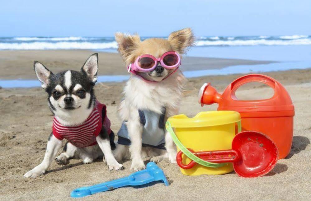 Enjoy Apart Centro Y Playa Victoria Μάλαγα Εξωτερικό φωτογραφία